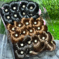 Artificial Hair Pins Pair